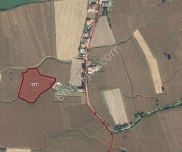 Arsa-Tarla