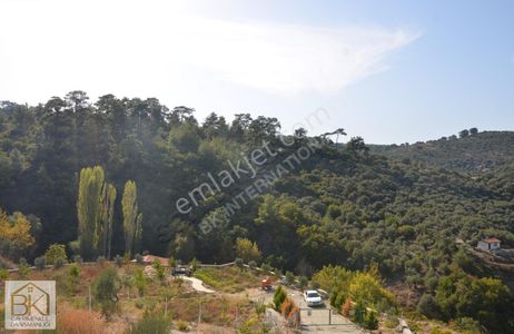 Arsa-Bağ & Bahçe
