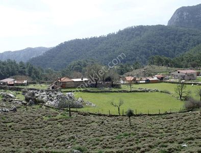 Arsa-Tarla