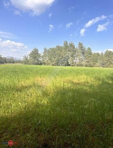 Arsa-Tarla
