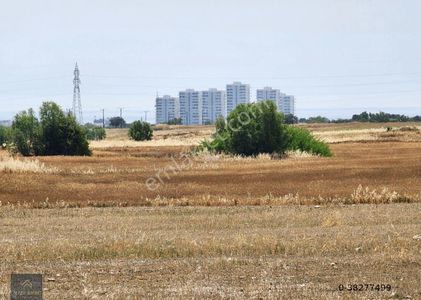 Arsa-Tarla