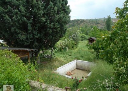 Arsa-Bağ & Bahçe