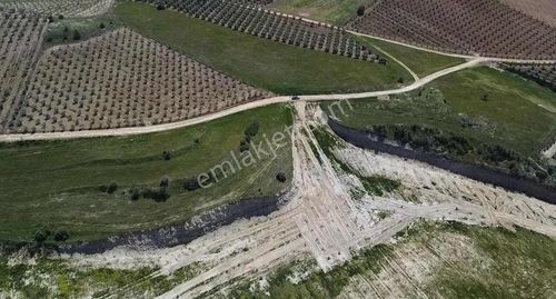 Arsa-Zeytinlik