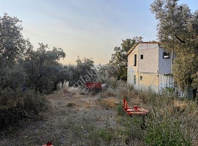 Arsa-Villa İmarlı