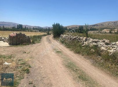 Arsa-Tarla