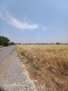 Arsa-Bağ & Bahçe