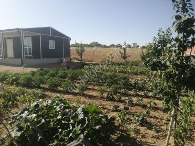 Arsa-Bağ & Bahçe