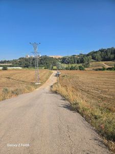 Arsa-Tarla