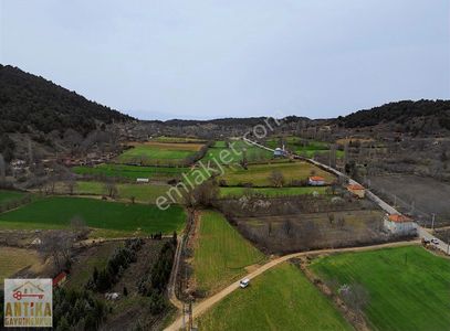 Arsa-Tarla