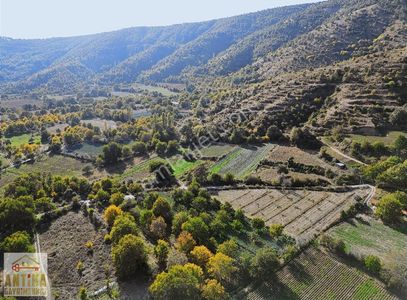 Arsa-Tarla
