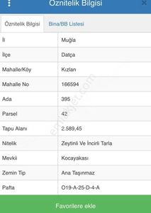 Arsa-Zeytinlik