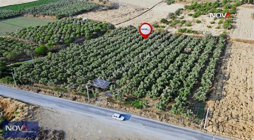 Arsa-Ticari İmarlı