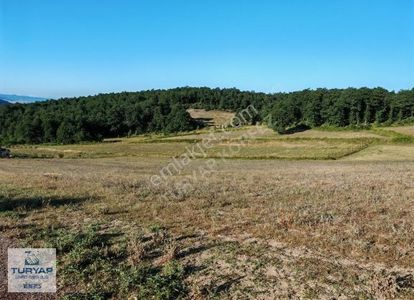 Arsa-Tarla