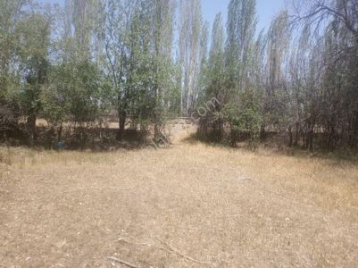Arsa-Bağ & Bahçe