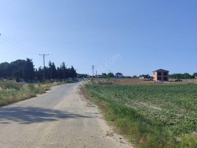 Arsa-Tarla