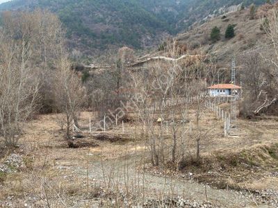 Arsa-Bağ & Bahçe