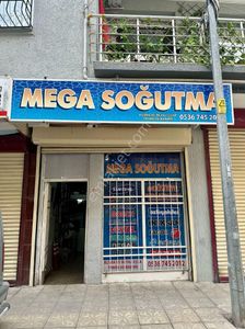 İşyeri-Dükkan & Mağaza