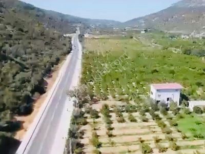 Arsa-Bağ & Bahçe