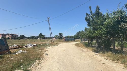 Arsa-Konut İmarlı