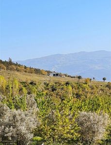 Arsa-Tarla