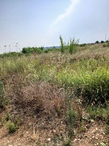 Arsa-Konut İmarlı