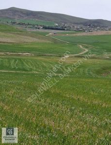 Arsa-Konut İmarlı