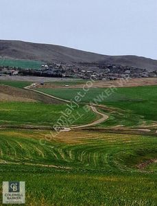 Arsa-Konut İmarlı