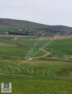 Arsa-Konut İmarlı