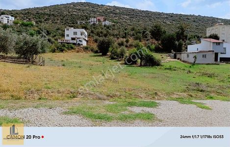 Arsa-Konut İmarlı