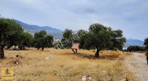 Arsa-Konut İmarlı