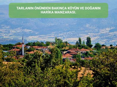 Arsa-Tarla