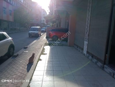İşyeri-Dükkan & Mağaza