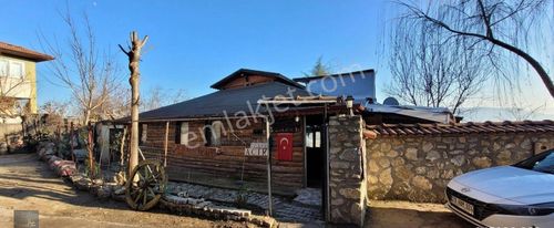 İşyeri-Kafe & Bar