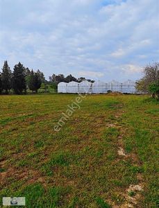 Arsa-Özel Kullanım