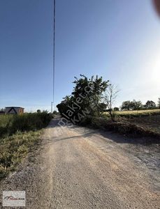 Arsa-Tarla