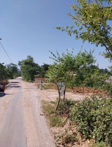 Arsa-Tarla