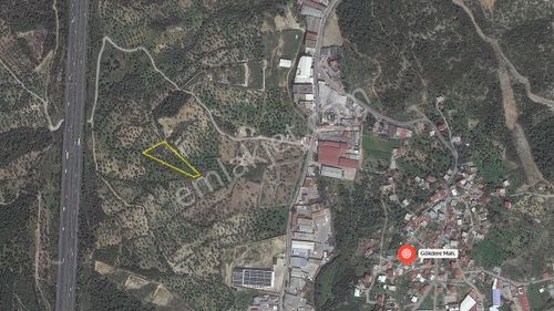 Arsa-Zeytinlik