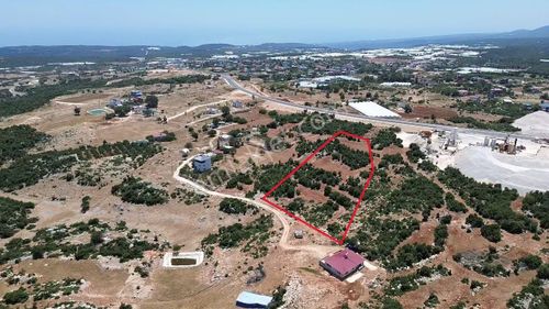 Arsa-Konut+Ticaret Alanı
