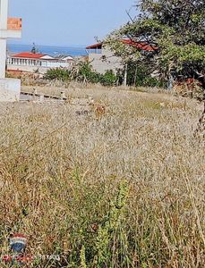 Arsa-Konut İmarlı