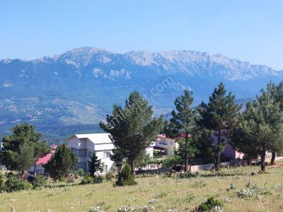 Arsa-Konut İmarlı