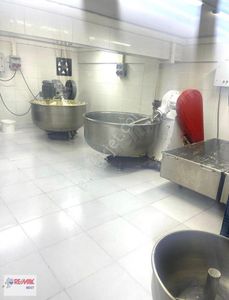 İşyeri-Dükkan & Mağaza