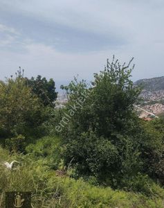 Arsa-Konut İmarlı