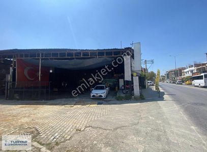 İşyeri-Dükkan & Mağaza