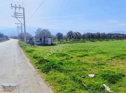 Arsa-Toplu Konut İçin