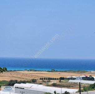 Arsa-Konut İmarlı