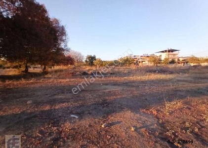 Arsa-Konut İmarlı