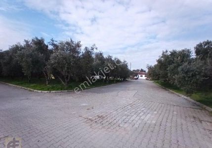 Arsa-Konut İmarlı