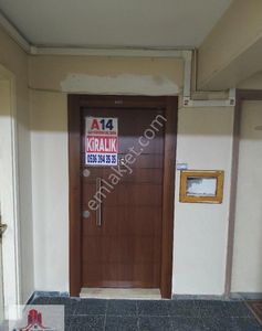 İşyeri-Ofis