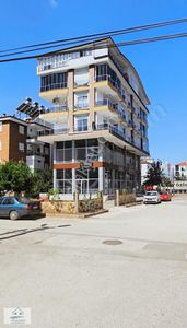 İşyeri-Dükkan & Mağaza
