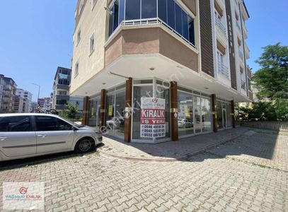 İşyeri-Dükkan & Mağaza
